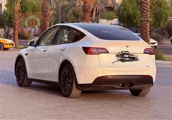 تێسلا مۆدێلی Y